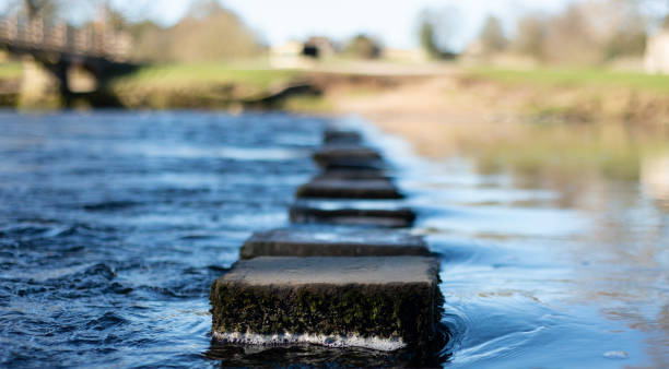 Stepping stones in the water